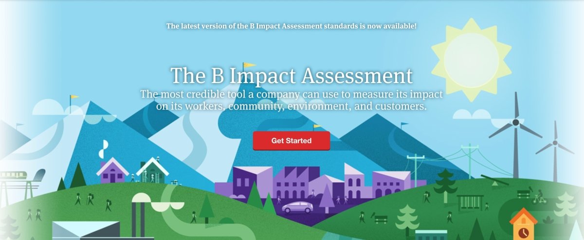 The B Impact Assessment: The First Pass – Merry Go Rounds - Curated ...